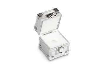 Aluminiumgeschütztes Etui KERN 317-009-600