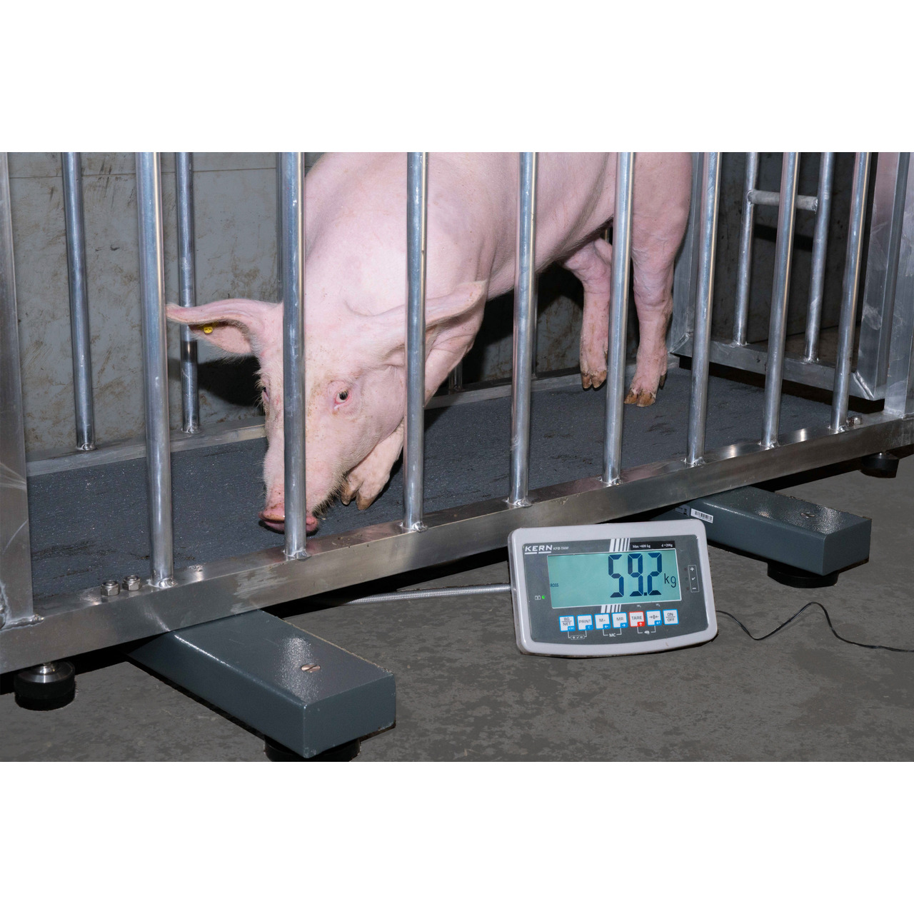 Wiegebalken KERN UFA 1.5T0.5