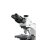 Phase contrast microscope Trinocular InfPlan 4-InfPlanPH 10/20/40/100: WF10x20: 20W Hal