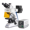 Compound microscope (School) Monocular Achromat 4/10/40:...